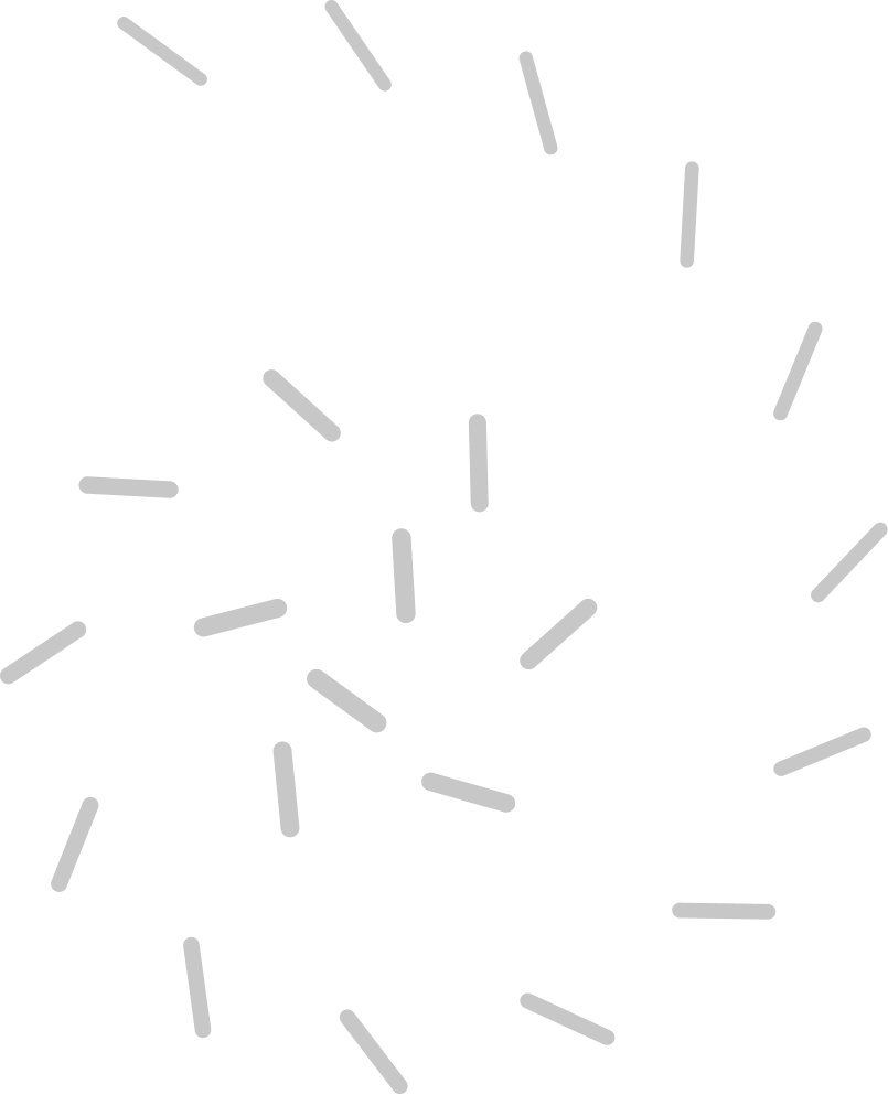 Logo banner principale